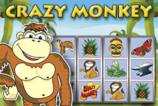 Crazy Monkey